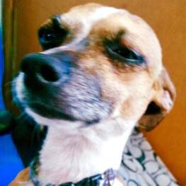 D 75366745 c028 4da0 93a7 7977debd80b9