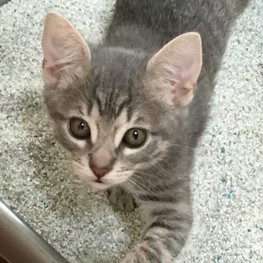 D f874e6a2 2040 4fa2 a0c6 bbdc2eba4fad