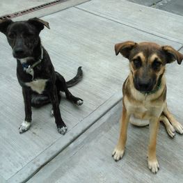 D 893d6423 04e3 4ba5 bf42 e34cc458f89c