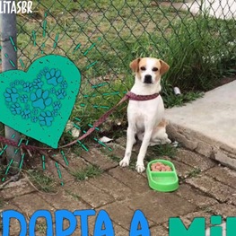 D 4064ce63 d048 4395 9934 a2481ab22b37