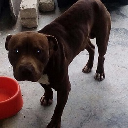 D b1a8056a fedb 4779 9e99 8c3367293a18