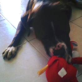 D b9af66e3 c5f4 4a8a b1ed 37d610864efd