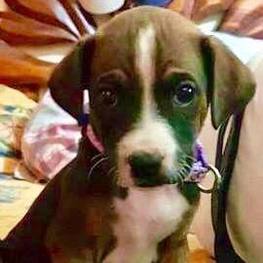 D 8979f75d d512 40e8 a290 95b654f493b9