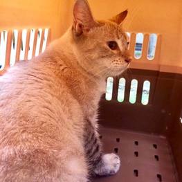 D cf17e957 6344 454e b931 837e80f96516