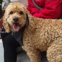 D f0f5b93a 8514 40f2 a3bc 50a3349f3be6