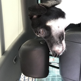 D 94b1ce55 b4b2 4f54 9f9f dcd6b41fd5b6