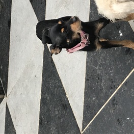 D 503d11ef d245 4a1a 810e aebd7a602f08