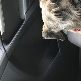 D a712859a 5bdd 4611 a8ee 9fb3eb2ebc1d