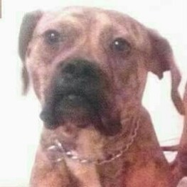 D f76ca5ad f525 48fb b6eb 0f9a92ac6510