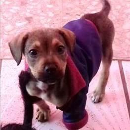 D f2a68143 2df4 4291 993f d785c9b40740