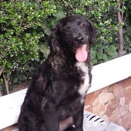 D c98389b0 351c 4de5 8aa6 28a29bcee3a7