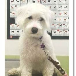 D 95a65d00 f56c 414b 94f2 e4e8bcbf843f