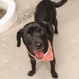 D b93e180a 15c5 4ca9 840c 102bb3c4431d