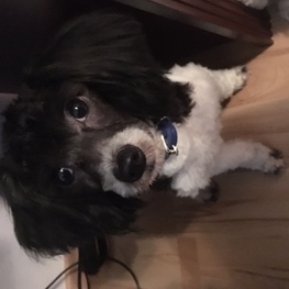 D 83cef30e 24a7 49c4 a473 f6e84d6a3234