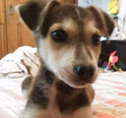 D 06d90dc8 0687 4a78 bc99 1cba973636a4