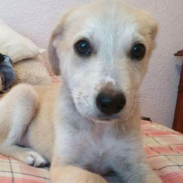 D 869ca275 0737 4638 82e0 7bfa967c184a