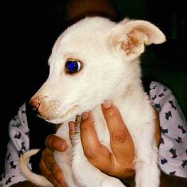 D aa859aff 66da 4efc 9756 3a53d3f9b1d9