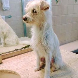 D 0a3c7c0f 6a3e 4fdc aa08 f1d79d2bef5c