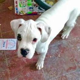 D 442ca9e0 f456 4945 9b36 b04e3789f1d6