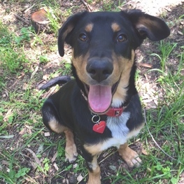 D a7d84e2a 625b 4b6e abe9 1bcc7a71ab08