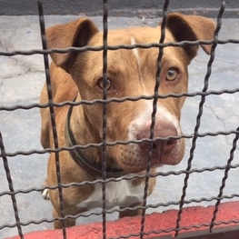 D a6683b8b e546 4369 9d38 1529a7de3743