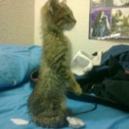 D 37d58e9f 872c 4757 af7c eac844efddae