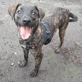 D 983d4a95 ef16 42e5 97f7 e9e0a08ceb27