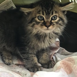 D ccef50ae aa2c 4751 b233 fde5096dfcf9