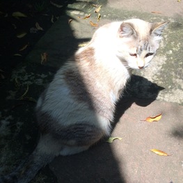 D 4917ed2d aa14 482c b737 c67f9a3d9922