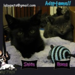 D 90b92efe 32ea 4f2f a043 93bf2927fc7d