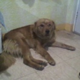 D f375146b 2f62 42db a874 d171452cb96d