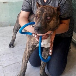 D 9611ab19 5484 4d21 956a eb7969148dd1