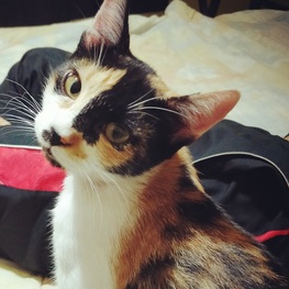 D a8b91437 be4a 4565 a706 56cd6145a211