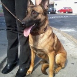 D 86846b46 bd6f 4f62 9e4a 816ae9c0bc35