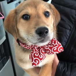 D bbfc4b5b 2f39 4fa5 ac5a 2f3c4a30308d