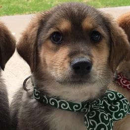 D 847df0d4 e2ee 4d7e b332 6c7916de948d