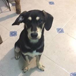 D eb8f11d8 5152 4428 9455 e30813c13053