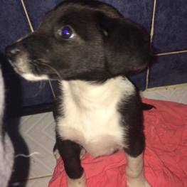 D 5c62cfea 64d4 4663 9e35 36e4bcf6a436