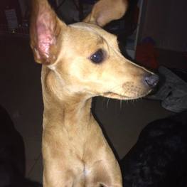 D 2cec25c5 0dff 42f8 80c1 1a92f37a5a59