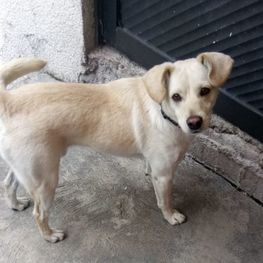 D ed9526f9 0db1 4f3e 9352 9a6b06e8778b