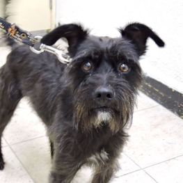 D 3b8dd2ed 72c6 45e4 8366 43ceccf8155d