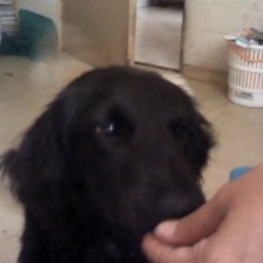 D 46092348 e50b 4815 8fc3 065a2ca17296