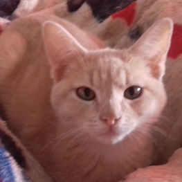 D dbc0dc25 eecc 42f9 aebf 65072bb76ea0