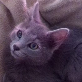 D 0a809a34 f321 48ce bda0 c93d83283d92