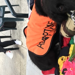 D 9f47e211 a684 48d2 bf64 215523104e98