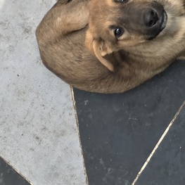 D c106f55e bd33 425c 9684 b33b53afded7