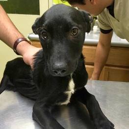 D 081c7cfb 3557 4ef6 a926 7d4eaa033bf5