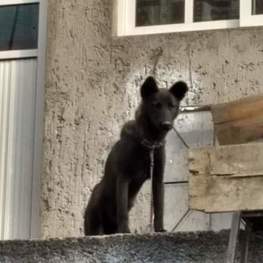 D 65799f27 ee85 4537 bdc5 d1081968c718