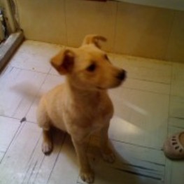 D 1b84bf5c 94ea 4665 ac01 3a06ecf74f5f