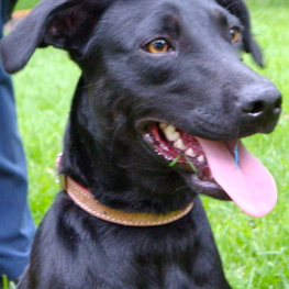 D eedef1f1 2b2c 4bf1 b425 932675e96a3e